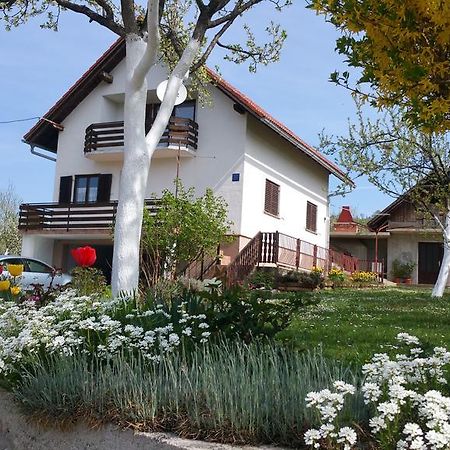 Apartment Ankica Selište Drežničko Zewnętrze zdjęcie