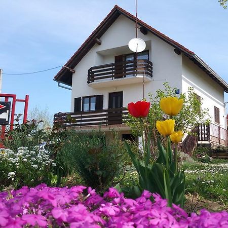Apartment Ankica Selište Drežničko Zewnętrze zdjęcie