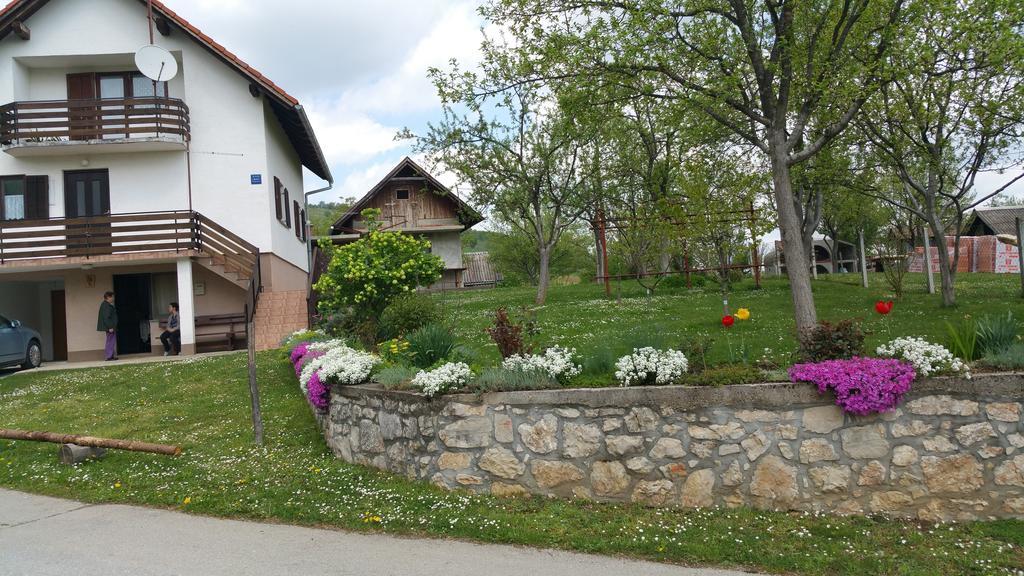 Apartment Ankica Selište Drežničko Zewnętrze zdjęcie