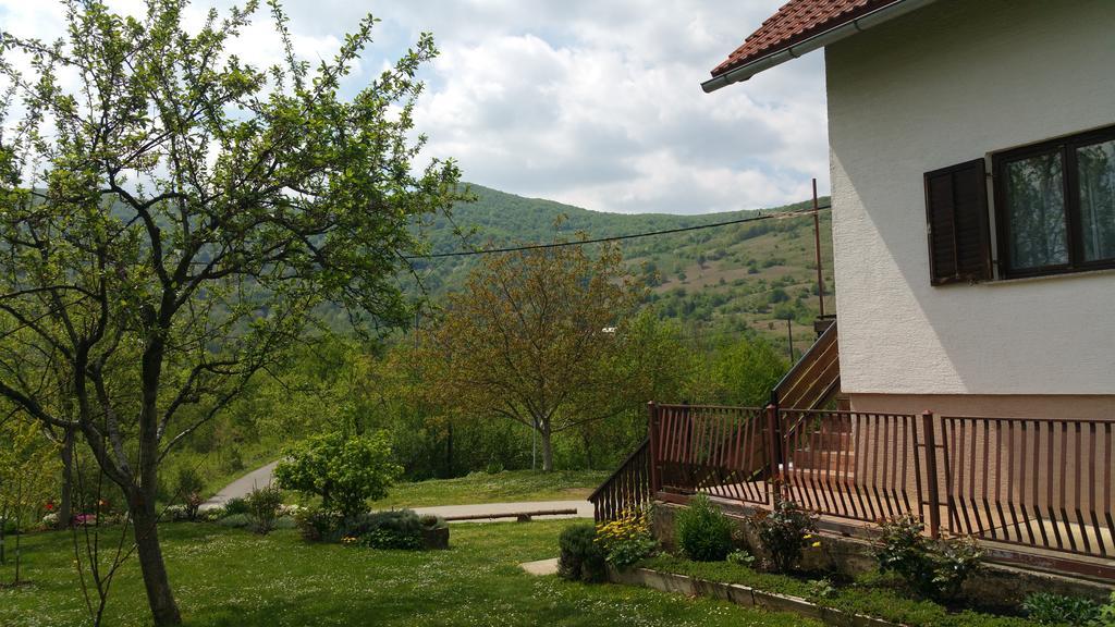Apartment Ankica Selište Drežničko Zewnętrze zdjęcie