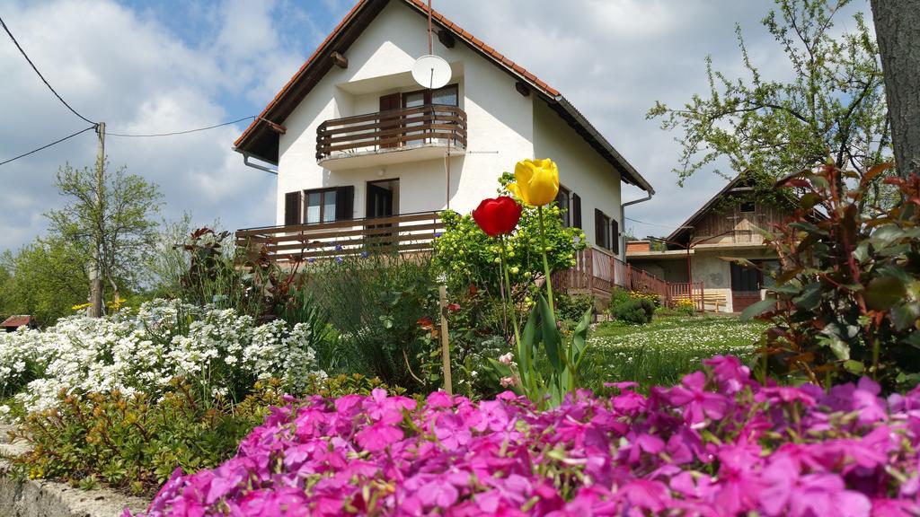 Apartment Ankica Selište Drežničko Zewnętrze zdjęcie