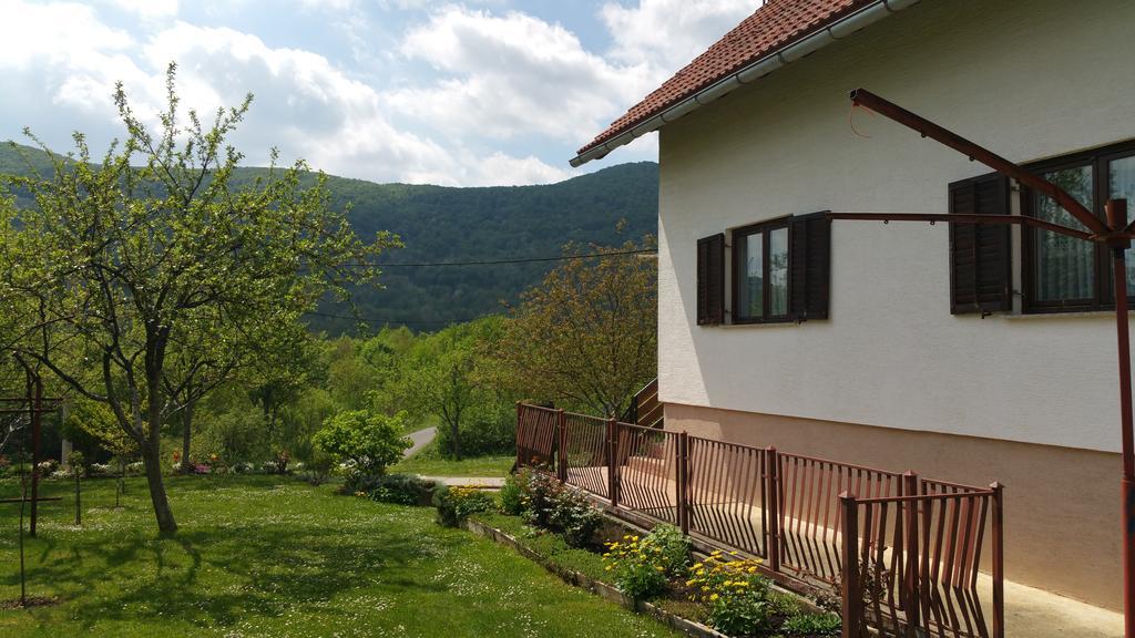 Apartment Ankica Selište Drežničko Zewnętrze zdjęcie