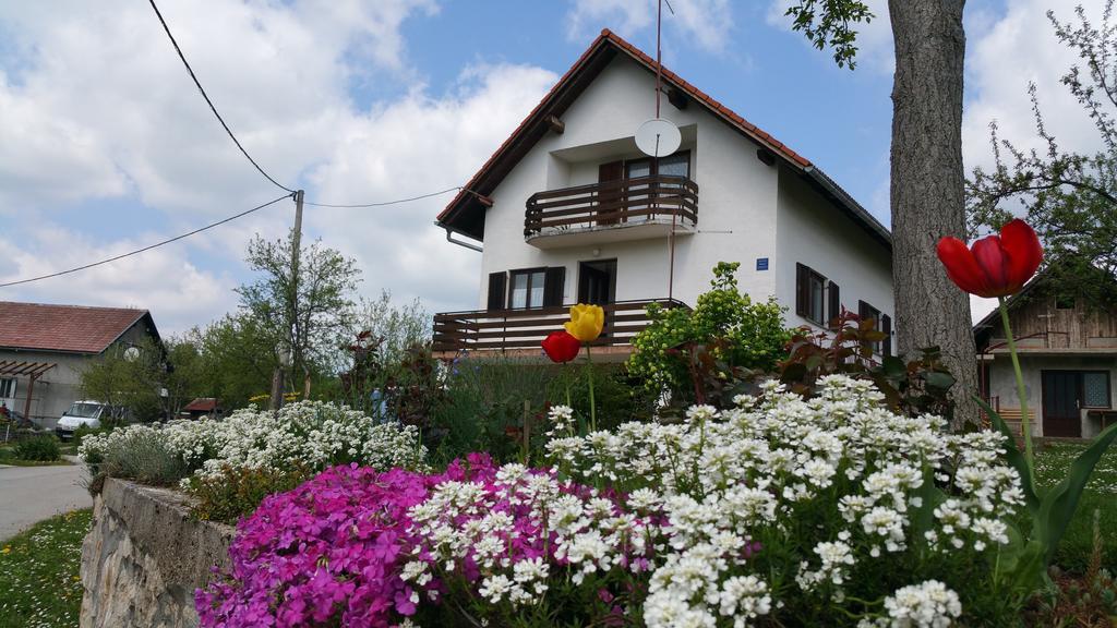 Apartment Ankica Selište Drežničko Zewnętrze zdjęcie