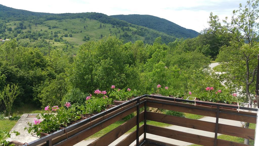 Apartment Ankica Selište Drežničko Zewnętrze zdjęcie