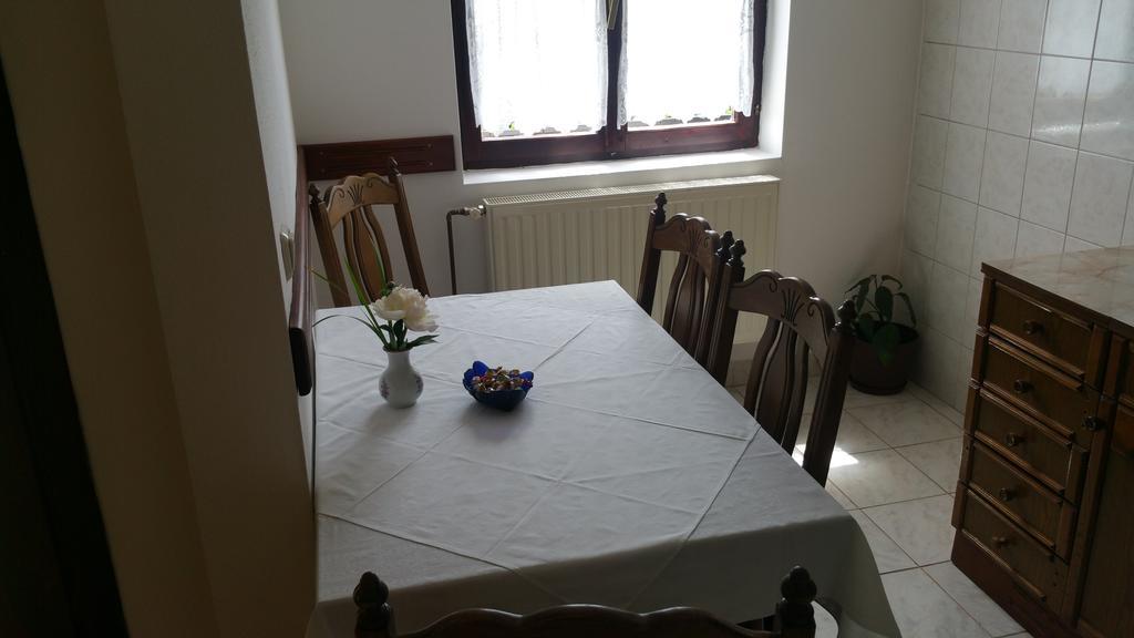 Apartment Ankica Selište Drežničko Zewnętrze zdjęcie