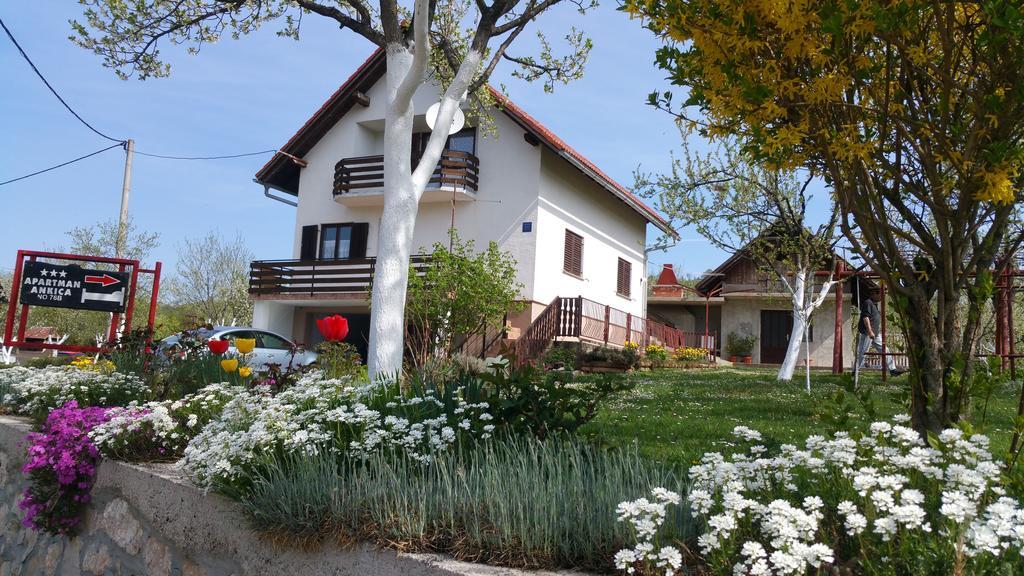 Apartment Ankica Selište Drežničko Zewnętrze zdjęcie