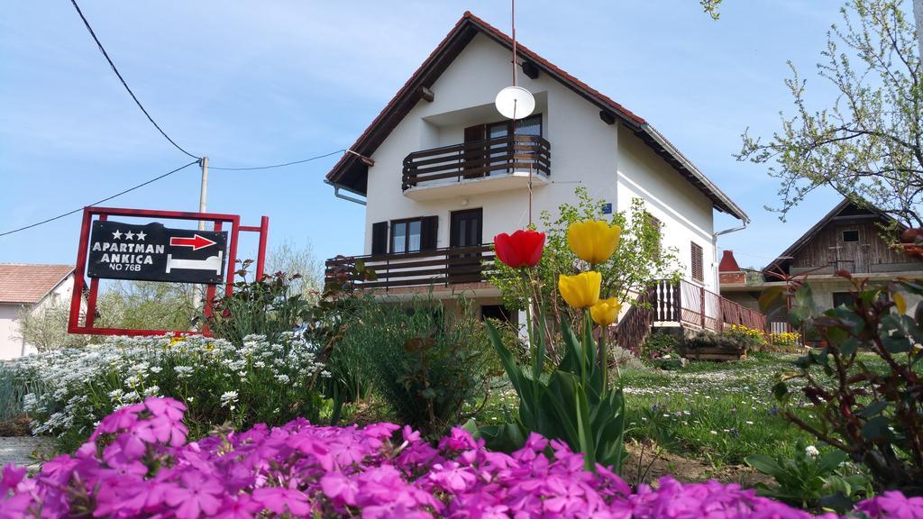 Apartment Ankica Selište Drežničko Zewnętrze zdjęcie