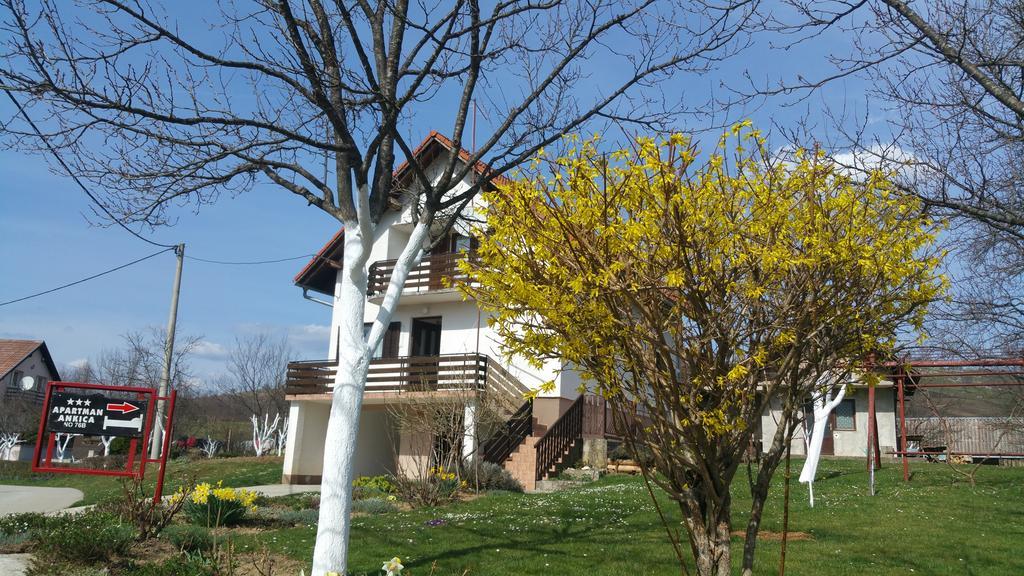 Apartment Ankica Selište Drežničko Zewnętrze zdjęcie