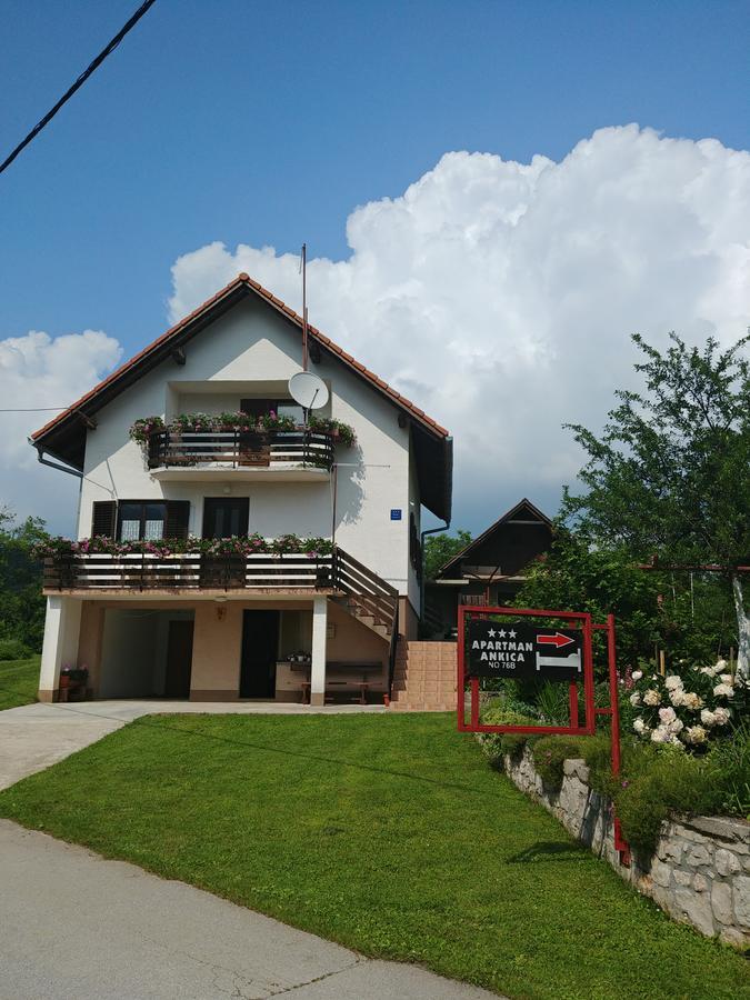 Apartment Ankica Selište Drežničko Zewnętrze zdjęcie