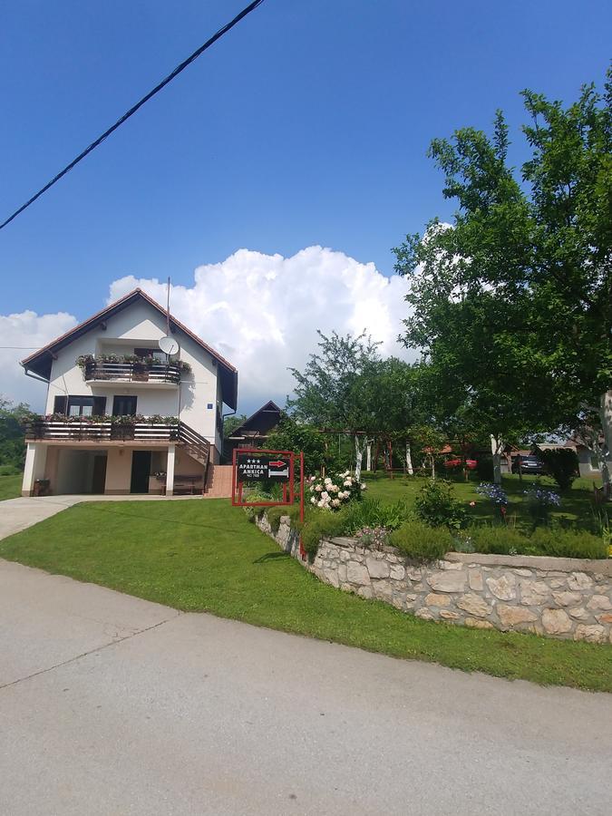 Apartment Ankica Selište Drežničko Zewnętrze zdjęcie