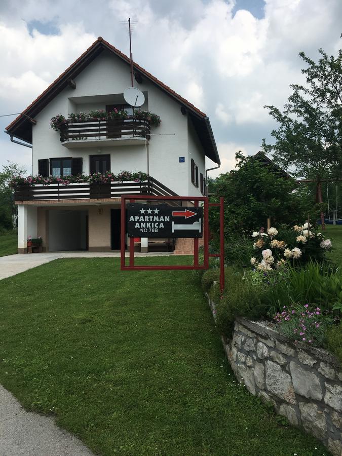 Apartment Ankica Selište Drežničko Zewnętrze zdjęcie
