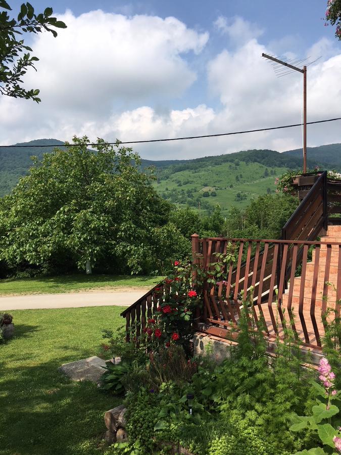 Apartment Ankica Selište Drežničko Zewnętrze zdjęcie