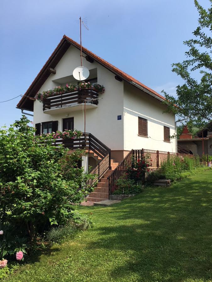 Apartment Ankica Selište Drežničko Zewnętrze zdjęcie