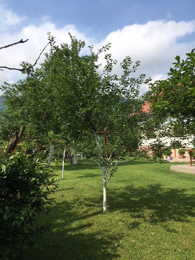 Apartment Ankica Selište Drežničko Zewnętrze zdjęcie
