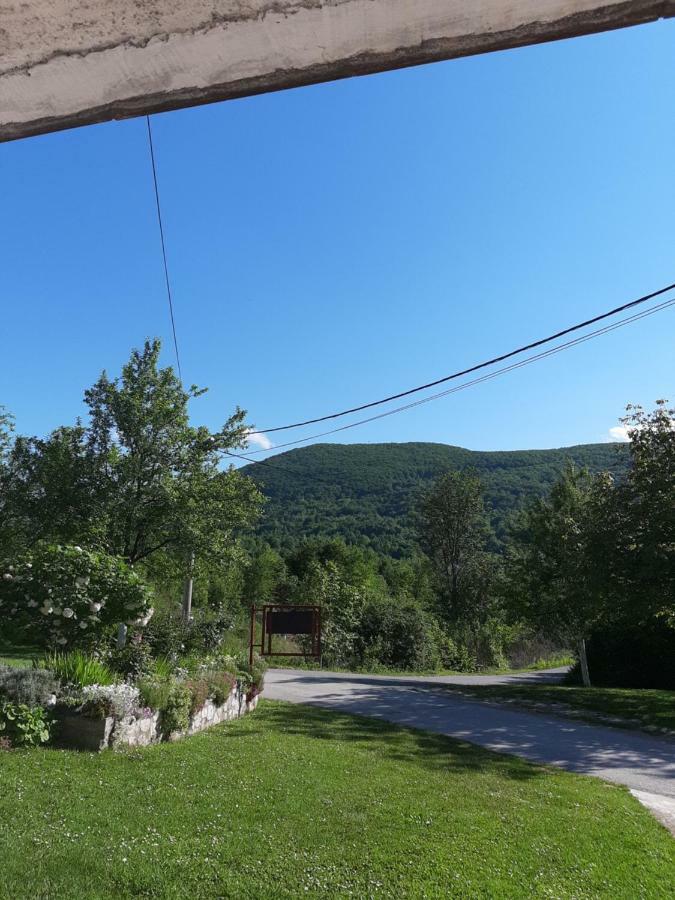 Apartment Ankica Selište Drežničko Zewnętrze zdjęcie