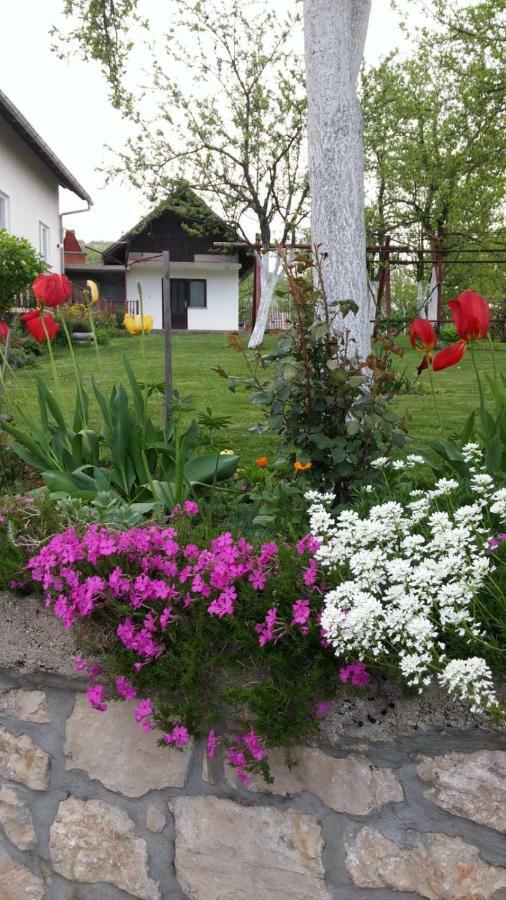 Apartment Ankica Selište Drežničko Zewnętrze zdjęcie