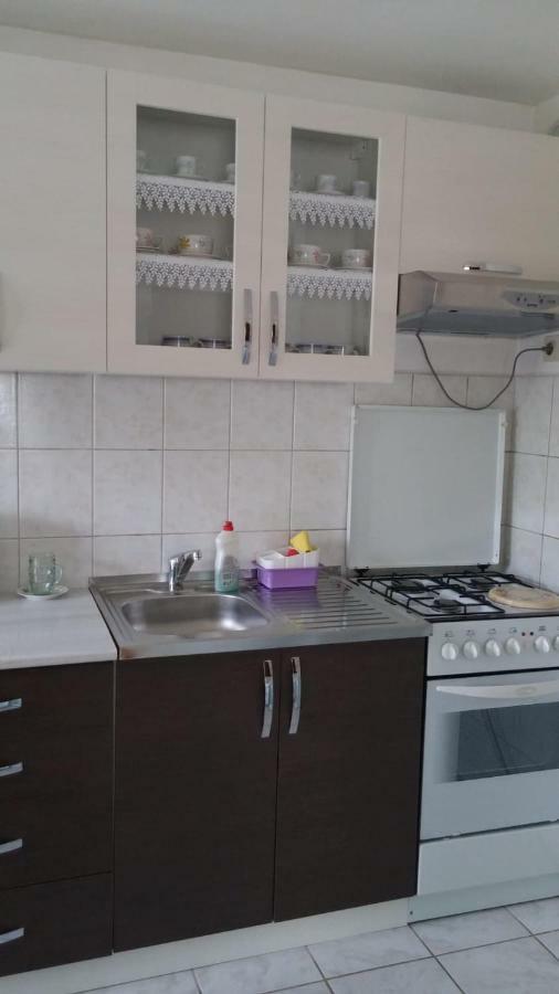 Apartment Ankica Selište Drežničko Zewnętrze zdjęcie