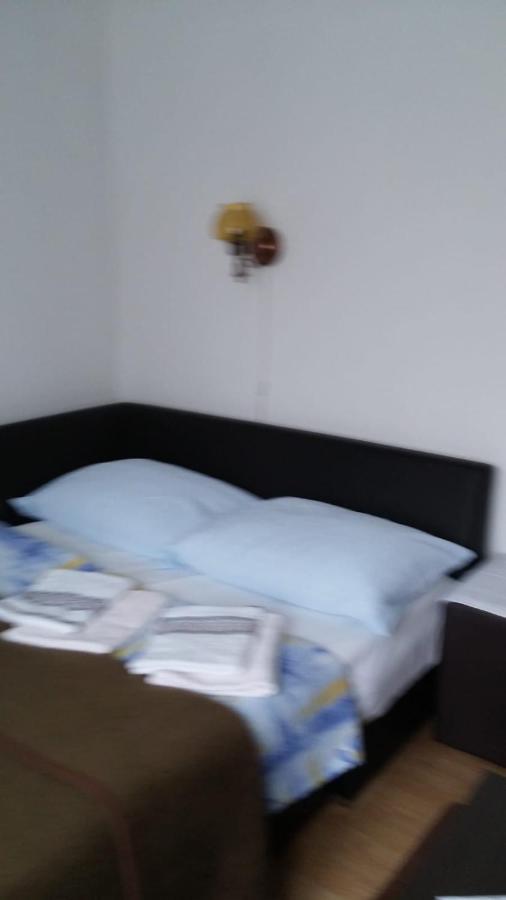 Apartment Ankica Selište Drežničko Zewnętrze zdjęcie