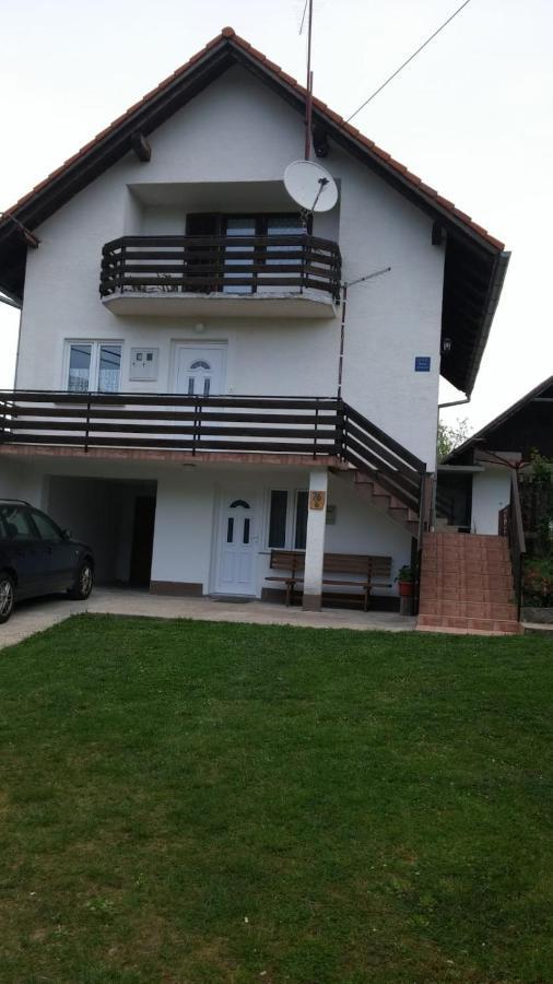Apartment Ankica Selište Drežničko Zewnętrze zdjęcie