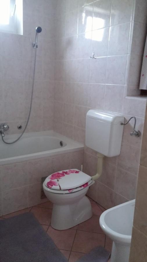 Apartment Ankica Selište Drežničko Zewnętrze zdjęcie