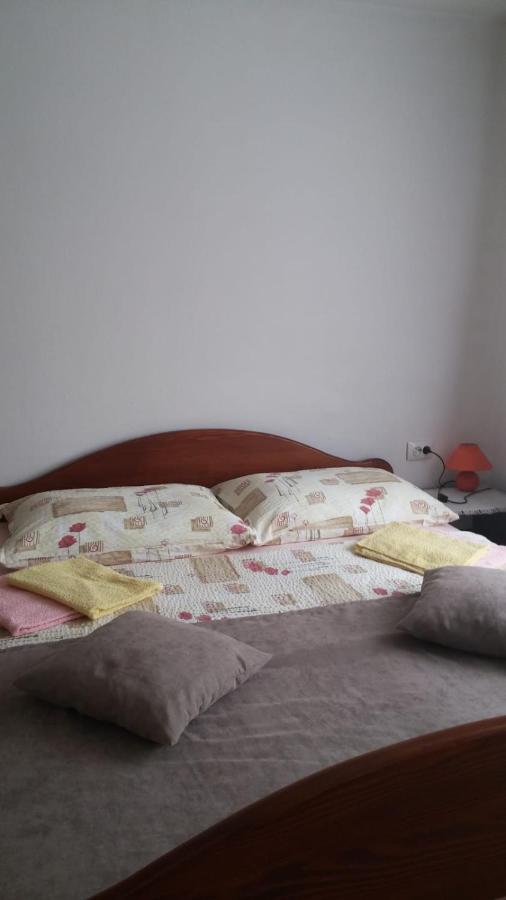 Apartment Ankica Selište Drežničko Zewnętrze zdjęcie