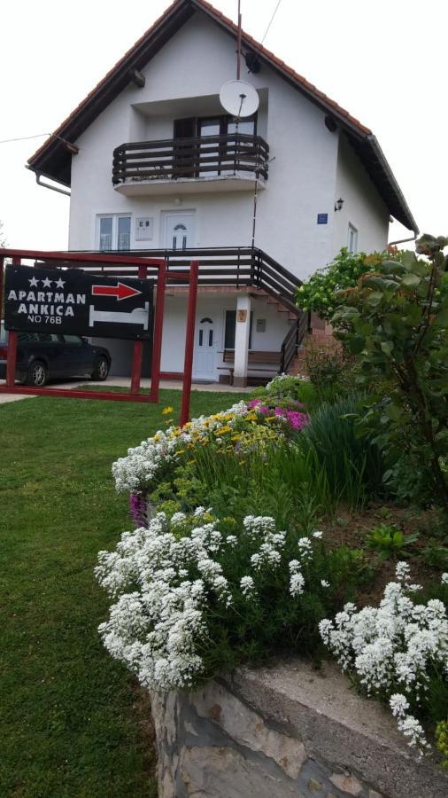 Apartment Ankica Selište Drežničko Zewnętrze zdjęcie